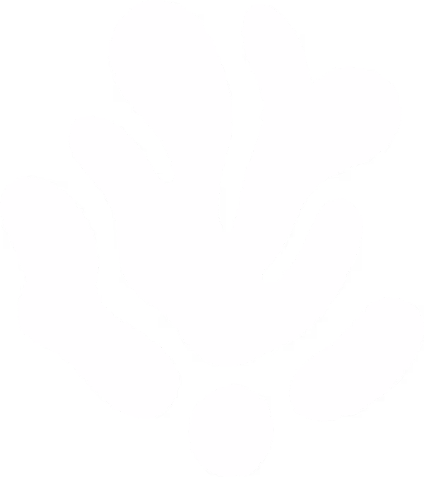 Logo Lo'Surf